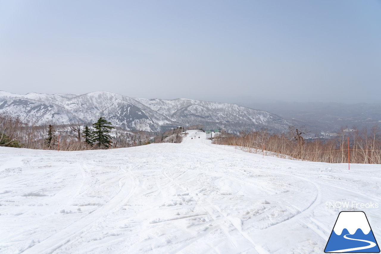 キロロリゾート｜初夏の陽気に耐えて、何とかGWまで持ってくれたキロロの雪…。さぁ、キロロゴンドラに乗って、山頂から山麓まで続く全長4,000ｍ超のロングランを楽しみましょう！